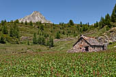 Lago Devero - Alpe  Corbernas (2007 m) 